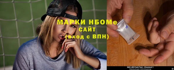 PSILOCYBIN Аркадак