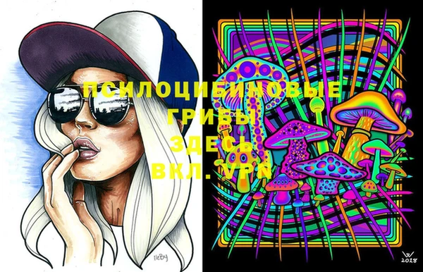 PSILOCYBIN Аркадак