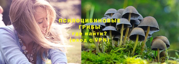 PSILOCYBIN Аркадак